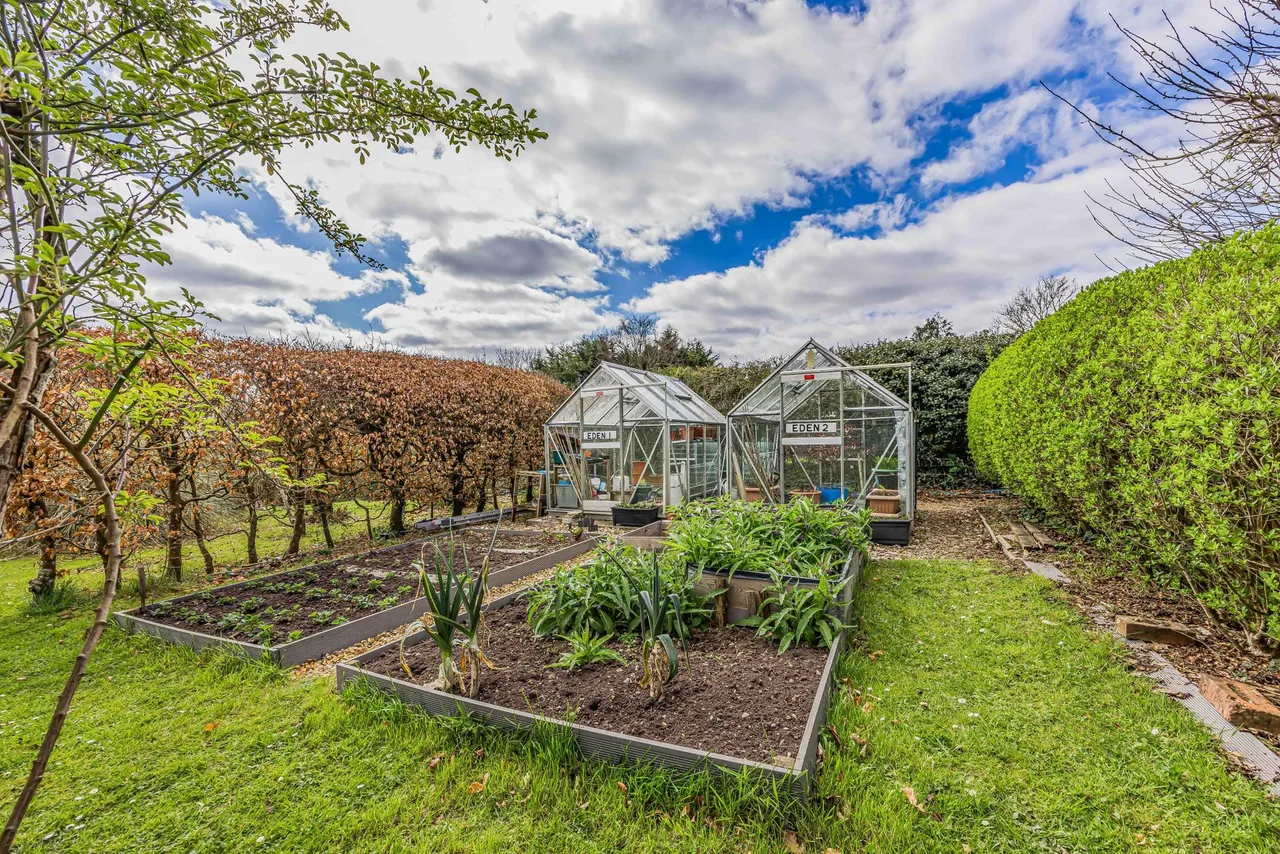 Hambledon, Hampshire, photo 30