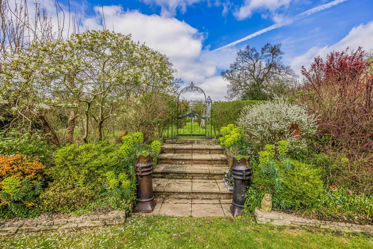 Hambledon, Hampshire, photo 43