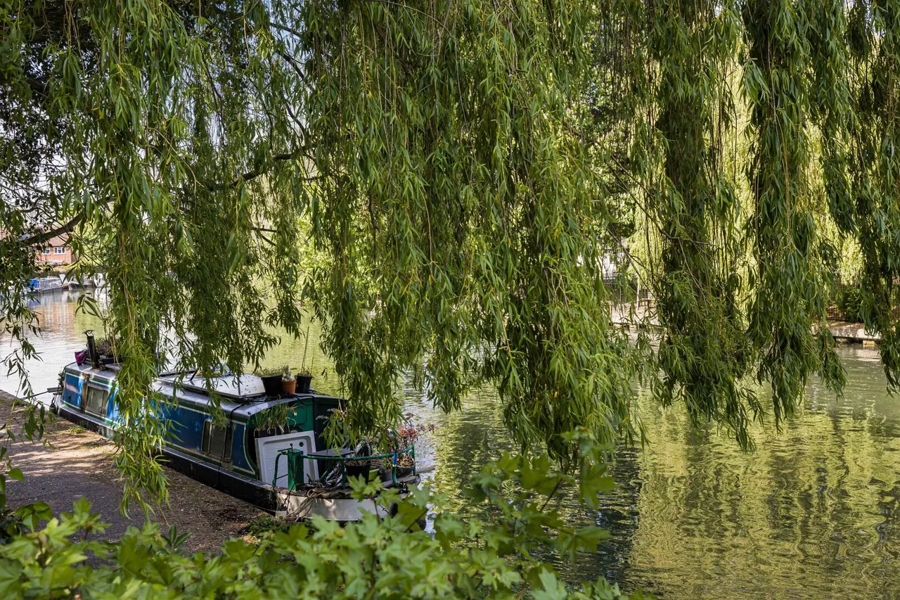 River Meads, Stanstead Abbotts, SG12, photo 14