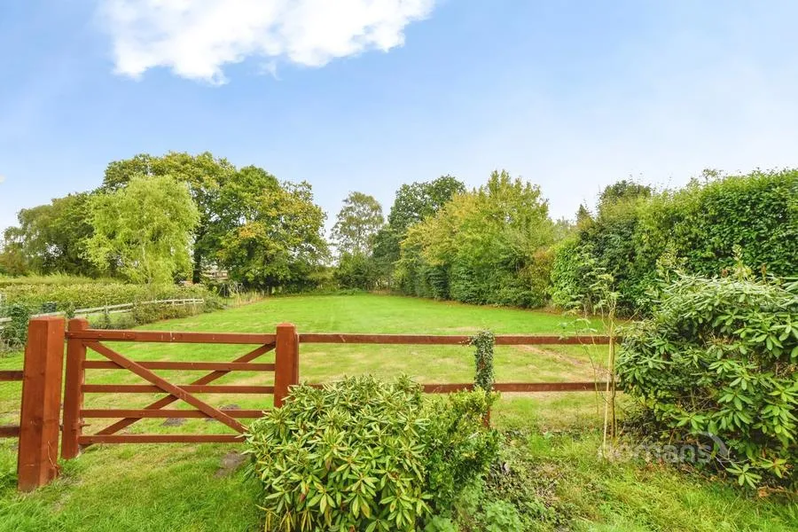 York Drove, Nomansland, SP5, photo 15
