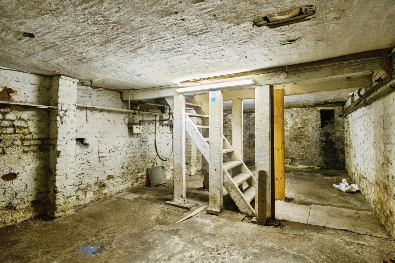 Herbert Street, London, E13, photo 16