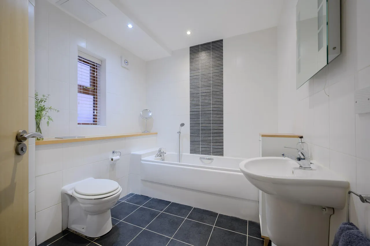 Belmont Road, belmont, BT4, photo 17