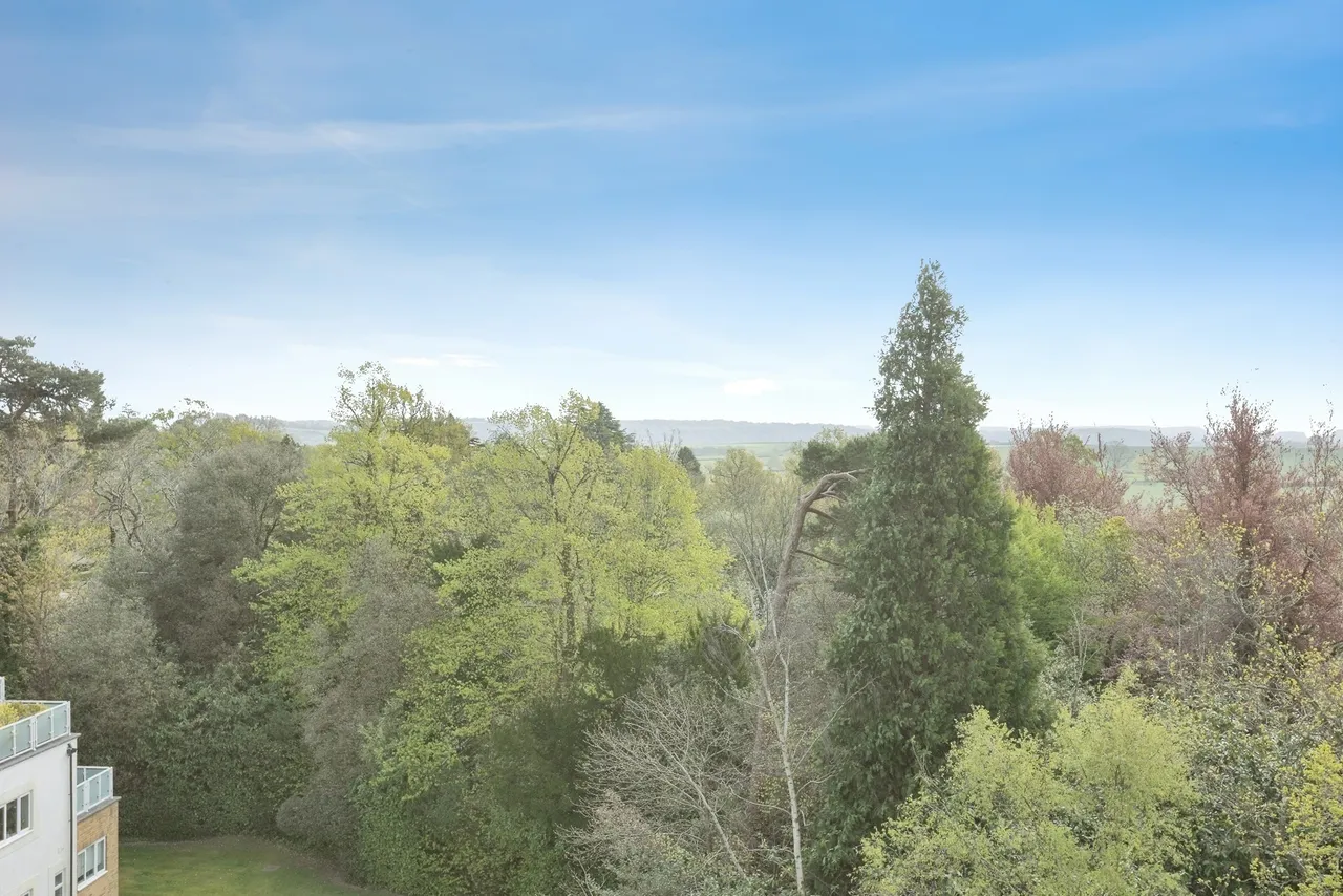 Sandrock Road, Tunbridge Wells, TN2, photo 17