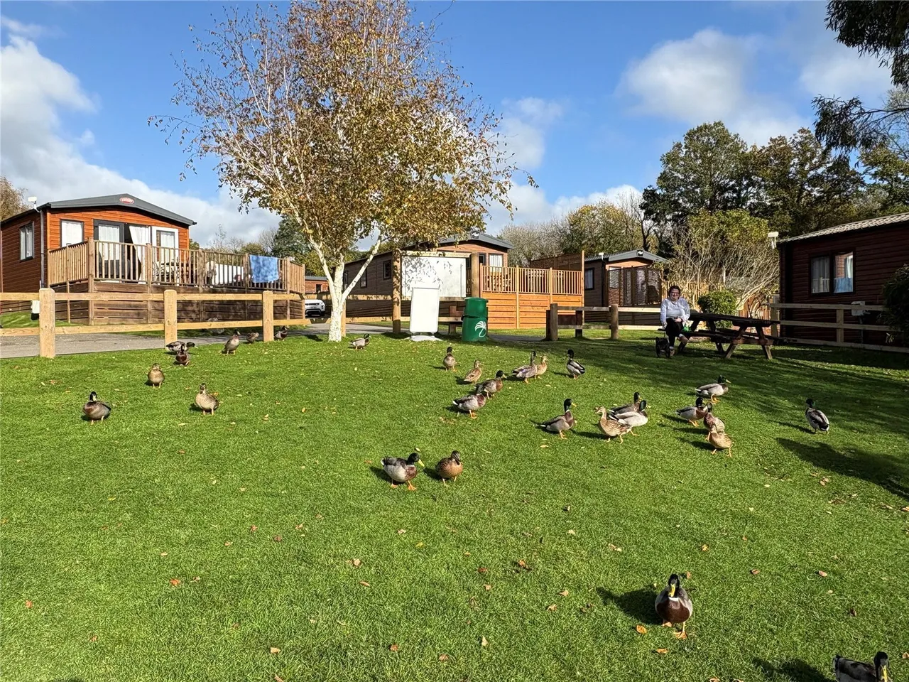 Chudleigh, Newton Abbot, TQ13, photo 11