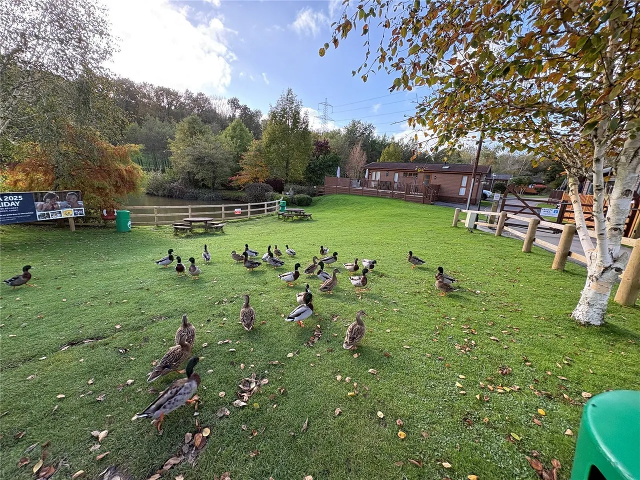 Chudleigh, Newton Abbot, TQ13, photo 7