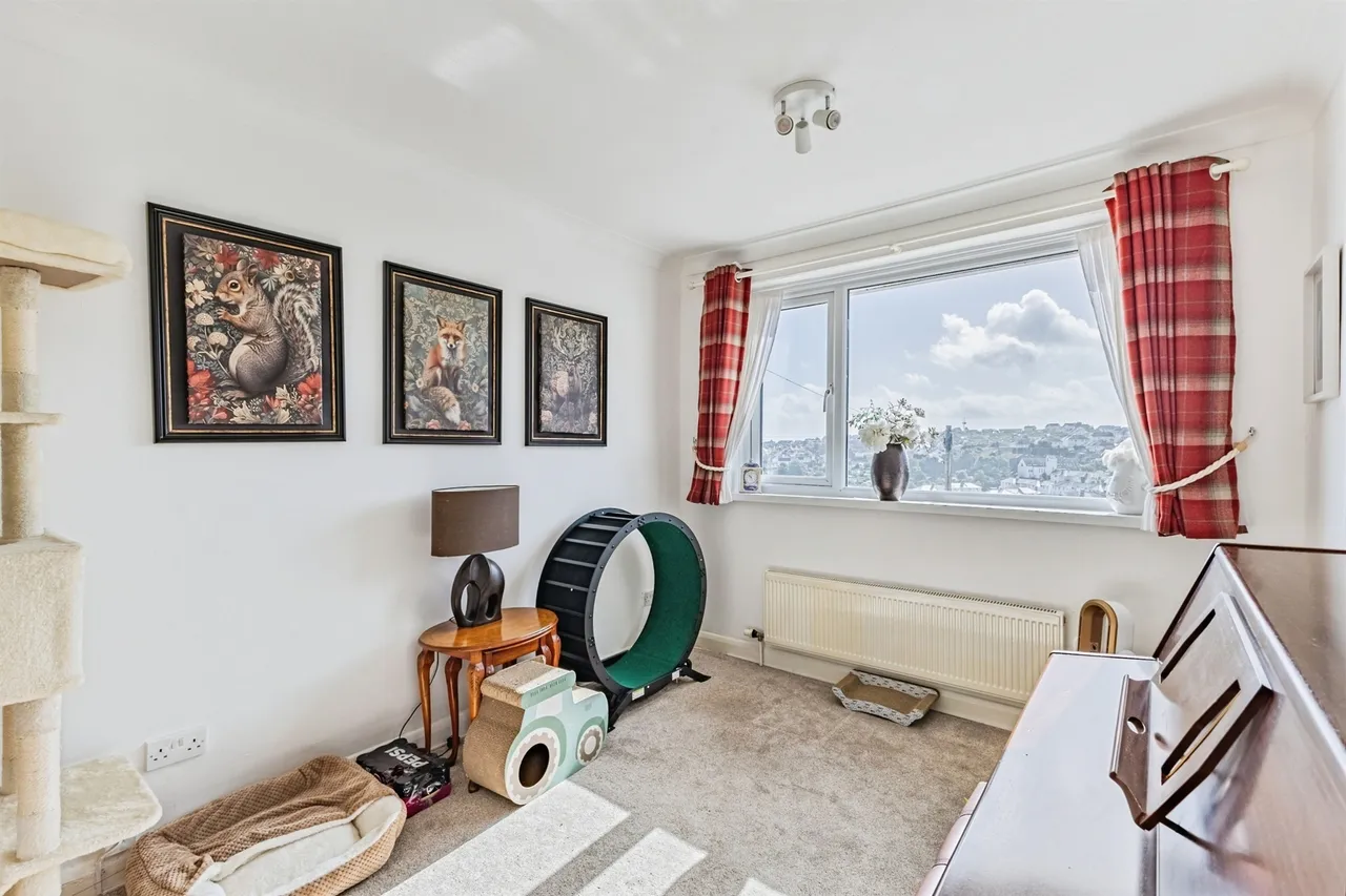Rossall Drive, Paignton, TQ3, photo 14