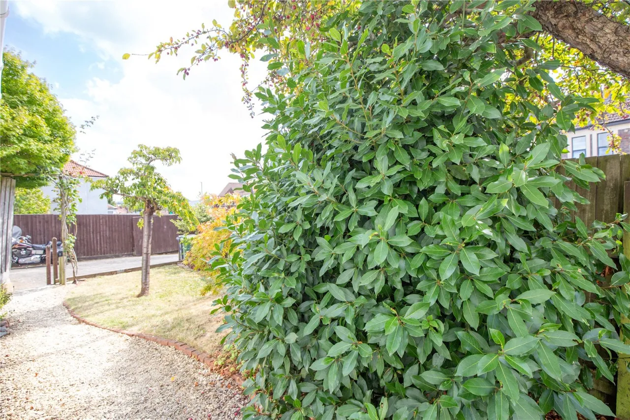 Parkstone Avenue, Bristol, BS7, photo 34