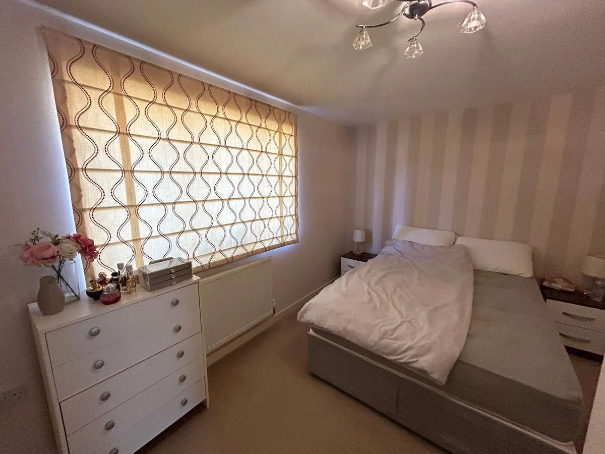 Kingfisher Avenue, Stockton-on-tees, TS20, photo 6