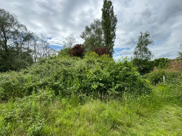 Dungee Corner House, Bozeat, Northants, NN29 7LD, photo 4