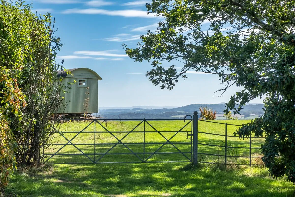Blackdown, Haslemere, GU27, photo 43
