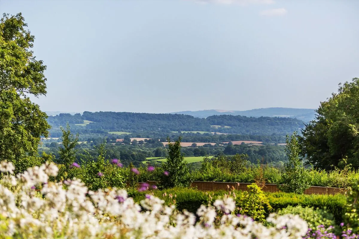 Blackdown, Haslemere, GU27, photo 5