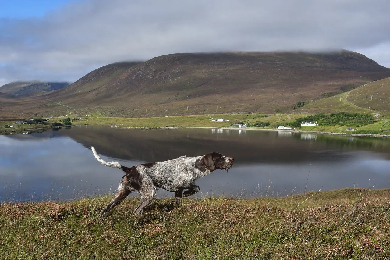 Isle of Lewis, HS2, photo 38