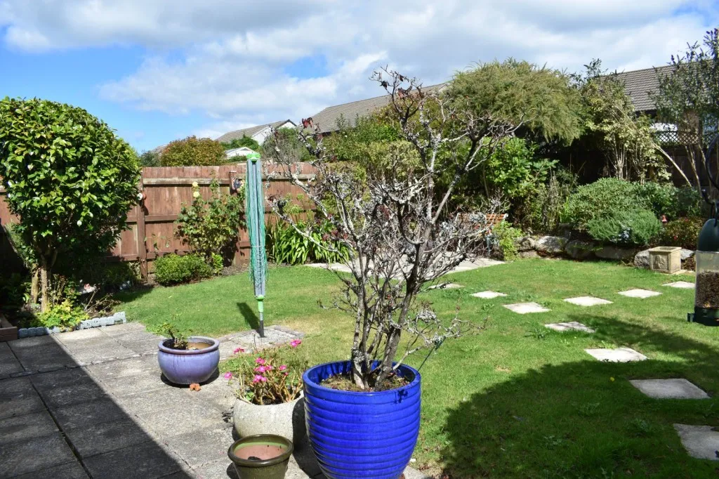Redruth, Cornwall, photo 11