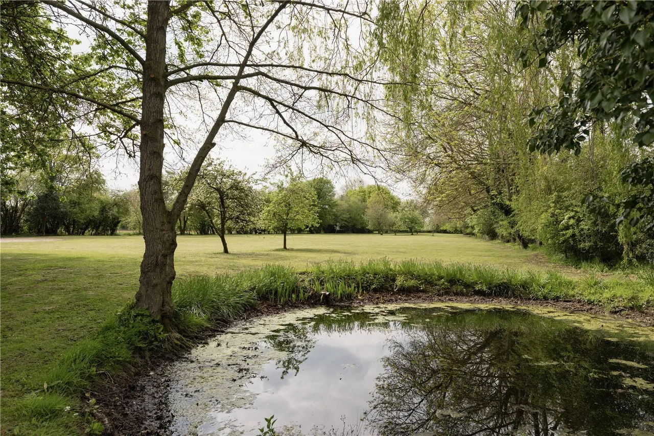 Barham's Lane, Carleton Rode, NR16, photo 6