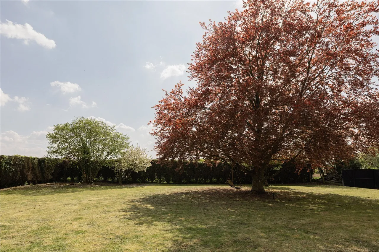 Barham's Lane, Carleton Rode, NR16, photo 43