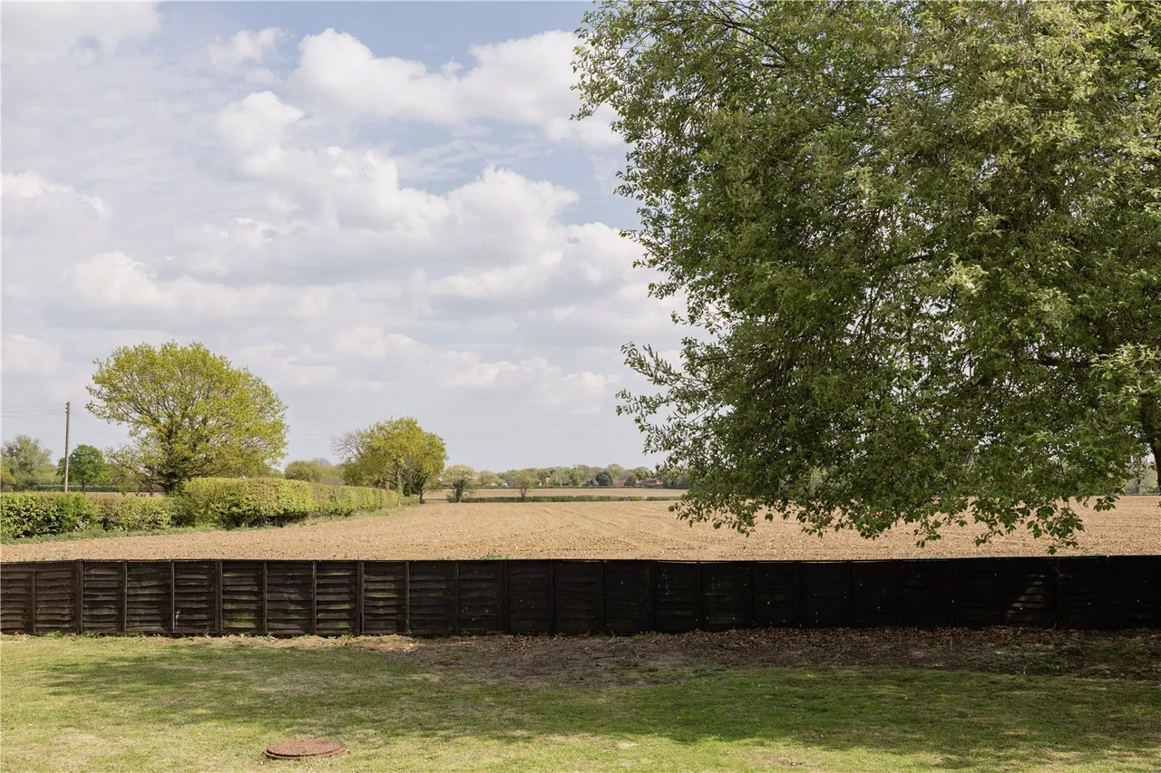 Barham's Lane, Carleton Rode, NR16, photo 31