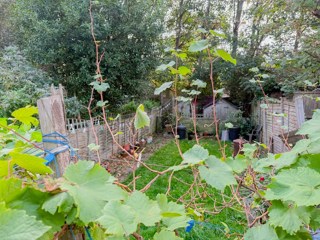 Jerrys Lane, Erdington, B23, photo 26