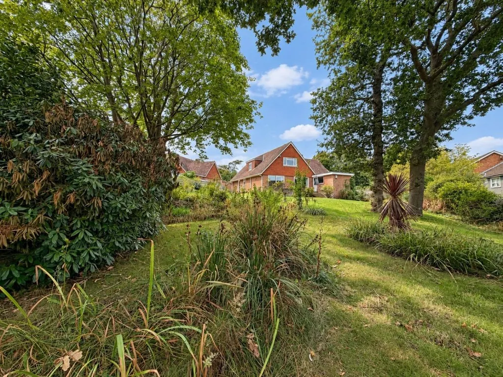 Collington Rise, Bexhill on Sea, photo 18