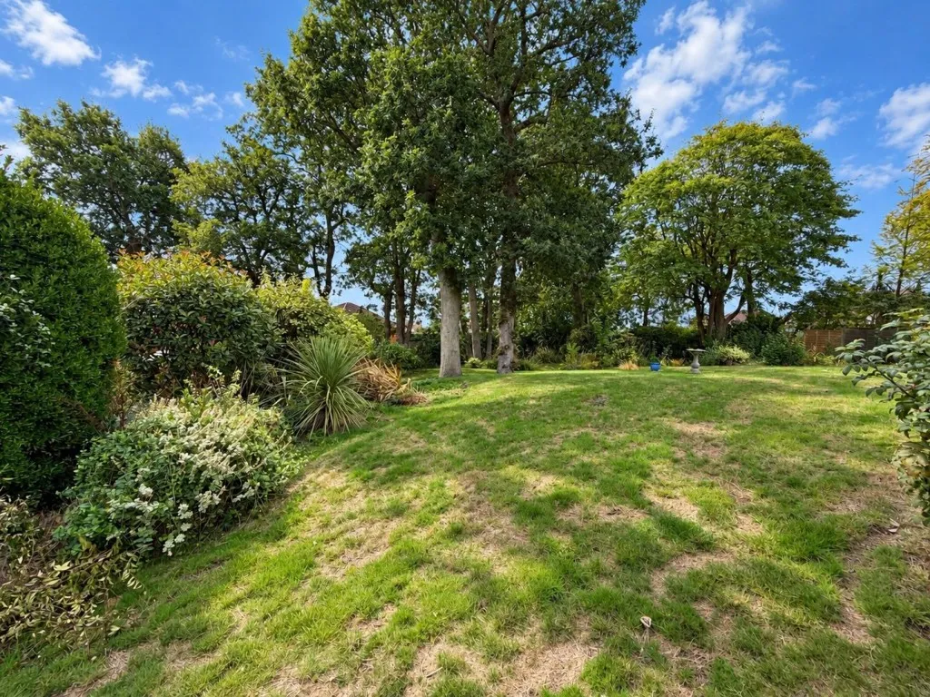 Collington Rise, Bexhill on Sea, photo 17