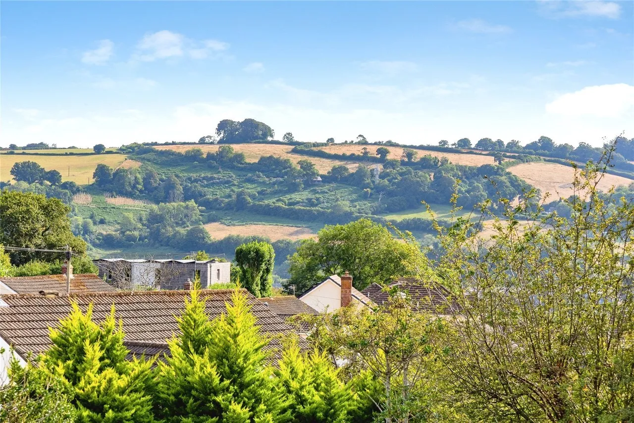 Bridgetown Hill, Totnes, TQ9, photo 30