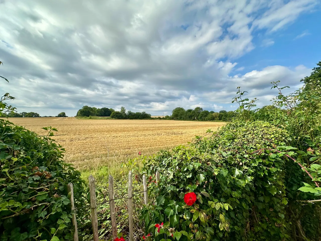 Tilley Close, Willow Grange, ME3, photo 9