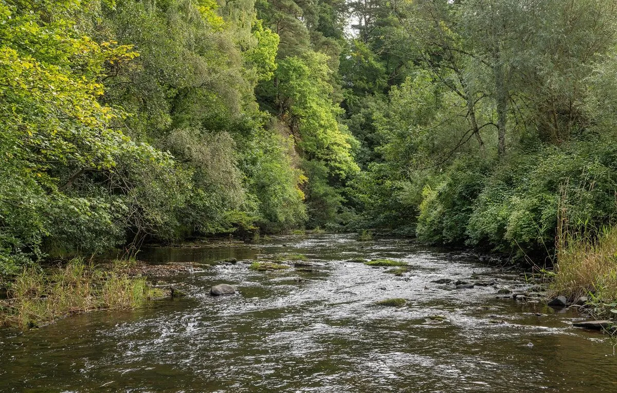 Jedburgh, TD8, photo 25