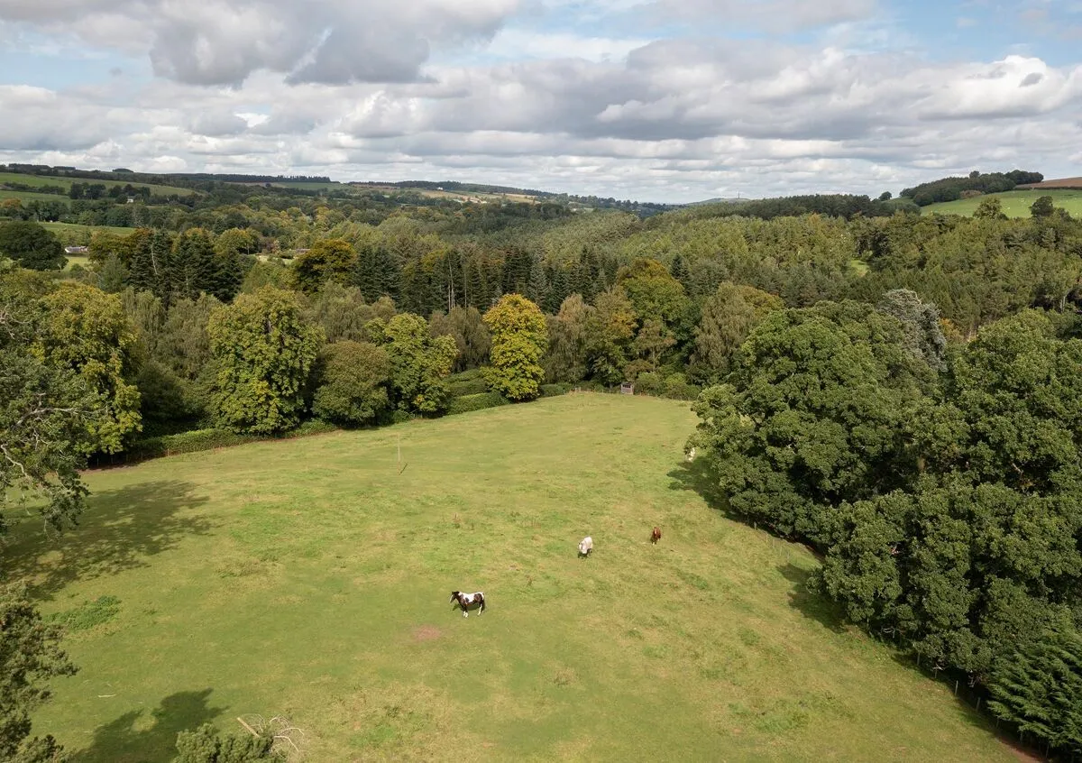 Jedburgh, TD8, photo 26