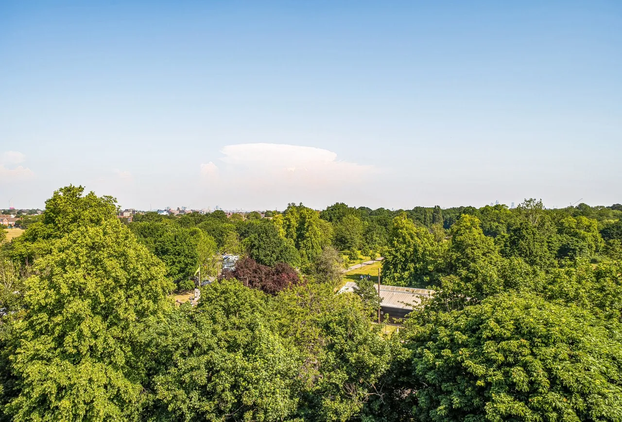 West Drive, London, SW16 1RT, photo 5