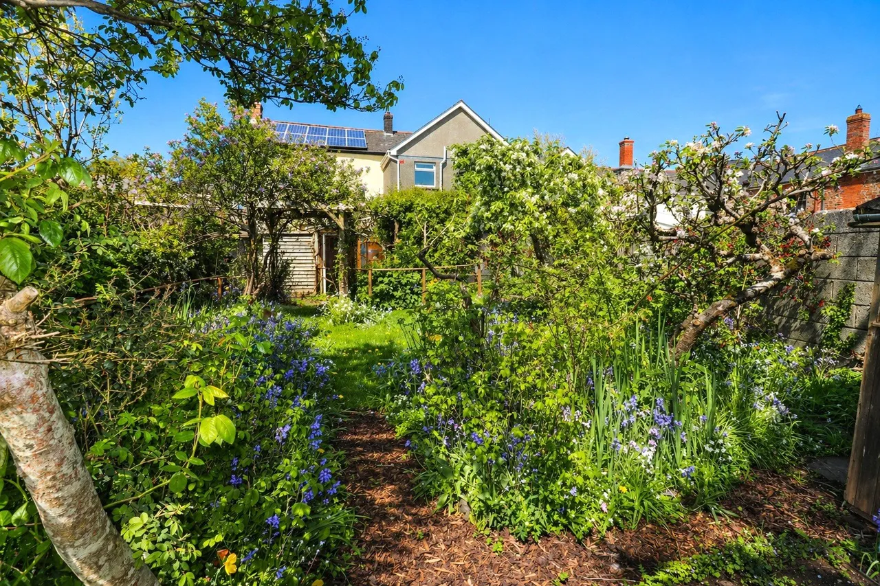 East Street, South Molton, EX36, photo 18