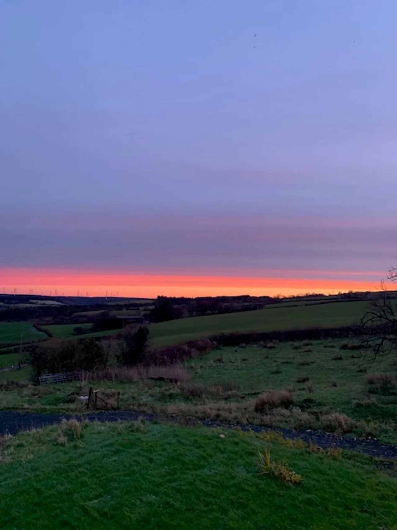 Rhydargaeau Road, Carmarthen, SA32, photo 8