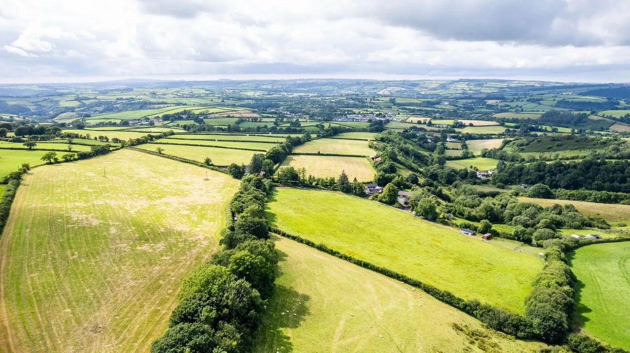 Rhydargaeau Road, Carmarthen, SA32, photo 47