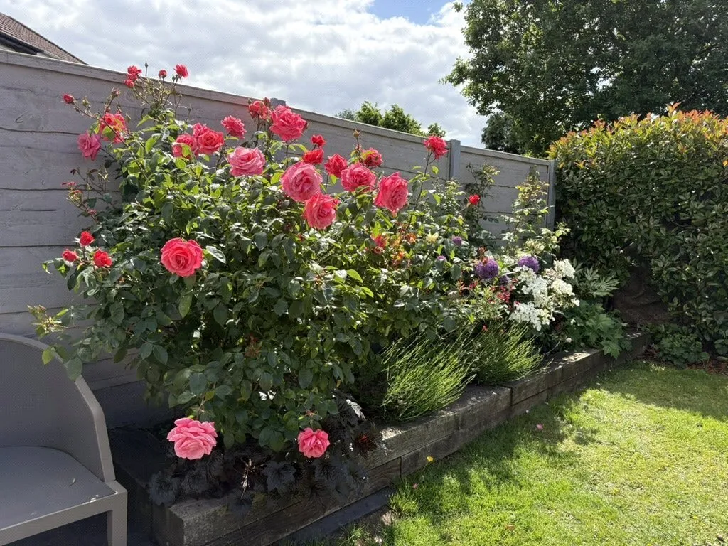 Shawdene Road, Northenden, M22, photo 27