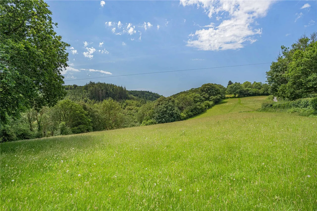 Golberdon Road, Pensilva, Liskeard, Cornwall, PL14 5RL, photo 22