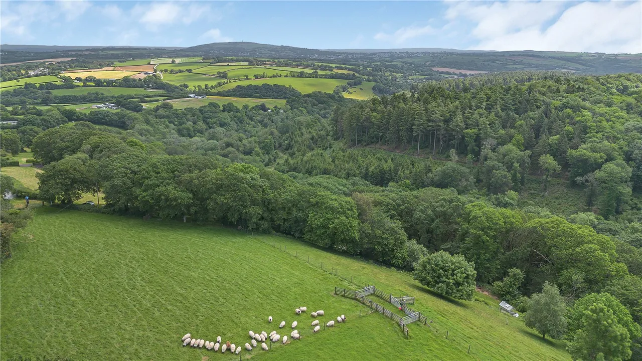 Golberdon Road, Pensilva, Liskeard, Cornwall, PL14 5RL, photo 23