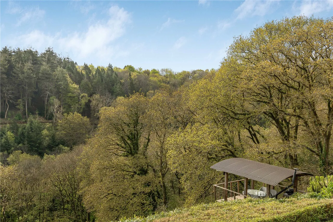 Golberdon Road, Pensilva, Liskeard, Cornwall, PL14 5RL, photo 42