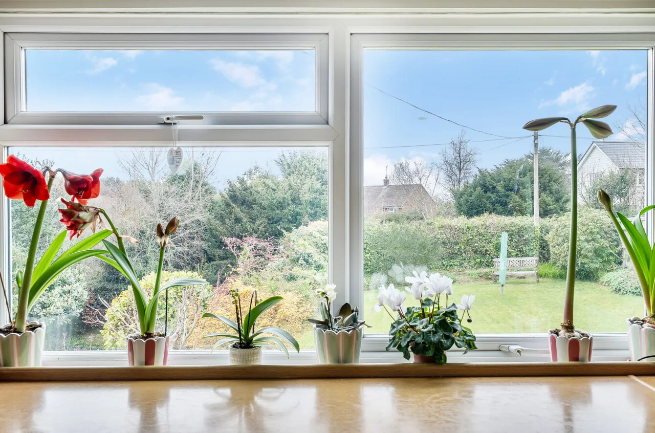 Jonas Lane, Wadhurst, TN5, photo 7