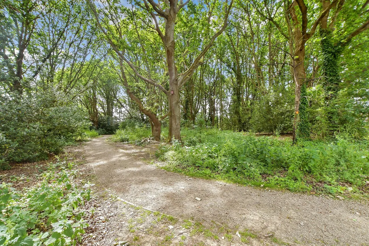 Three Fields Road, Tenterden, TN30, photo 12