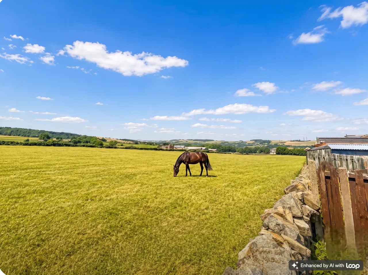 Birch Tree Road, Stocksbridge, S36, photo 24