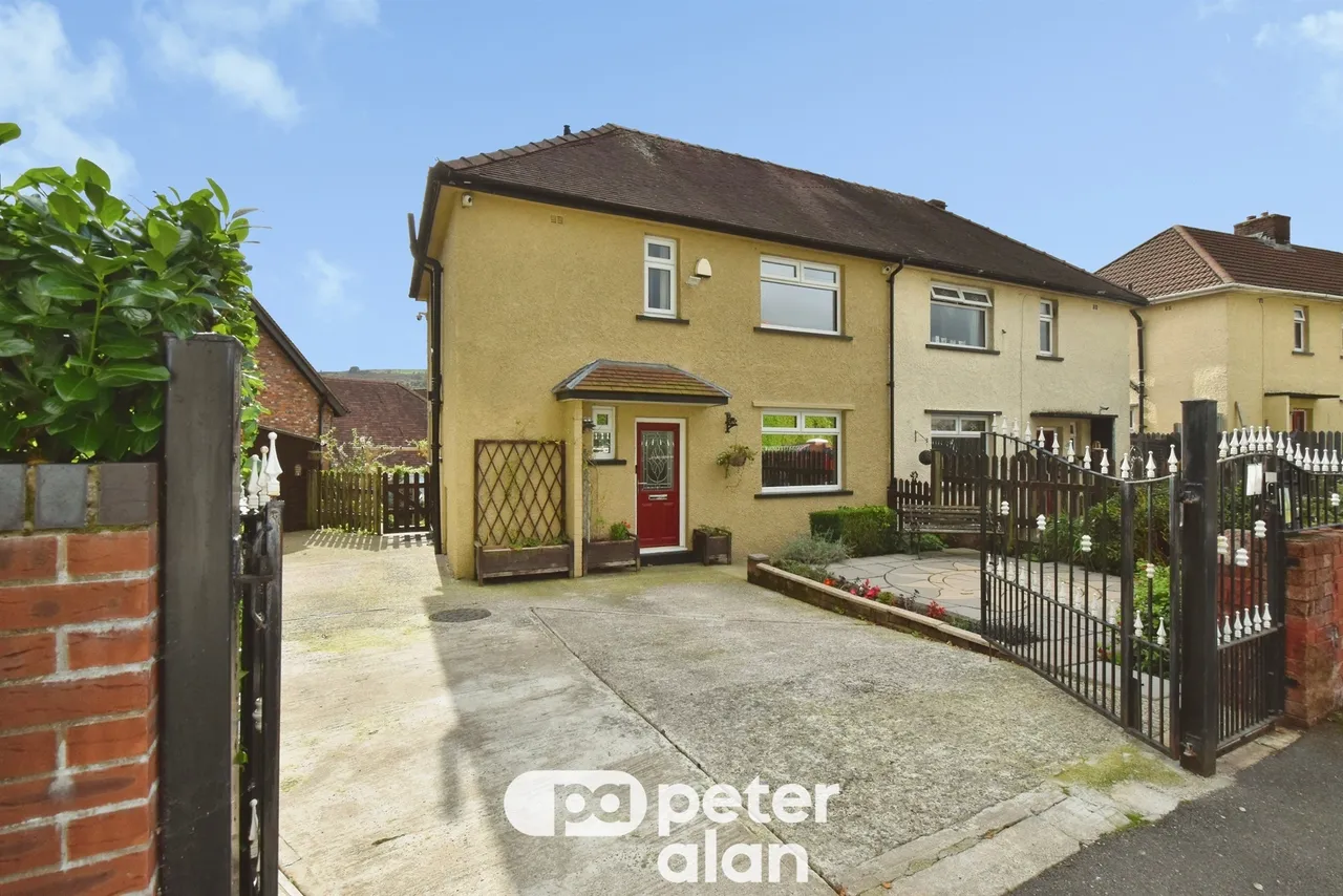 The Poplars Mountain Ash, CF45, photo 4