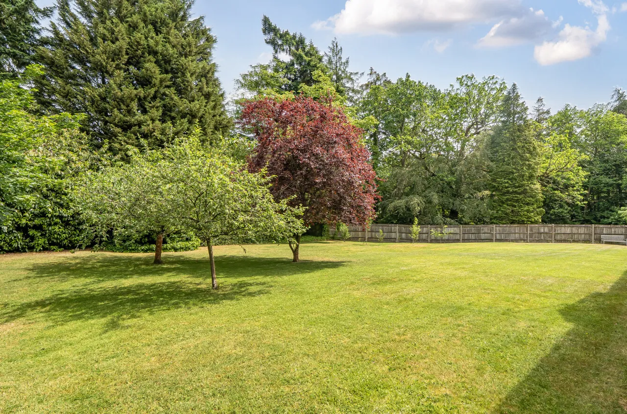 Alsford Close, Lightwater, Surrey, GU18 5LF, photo 10