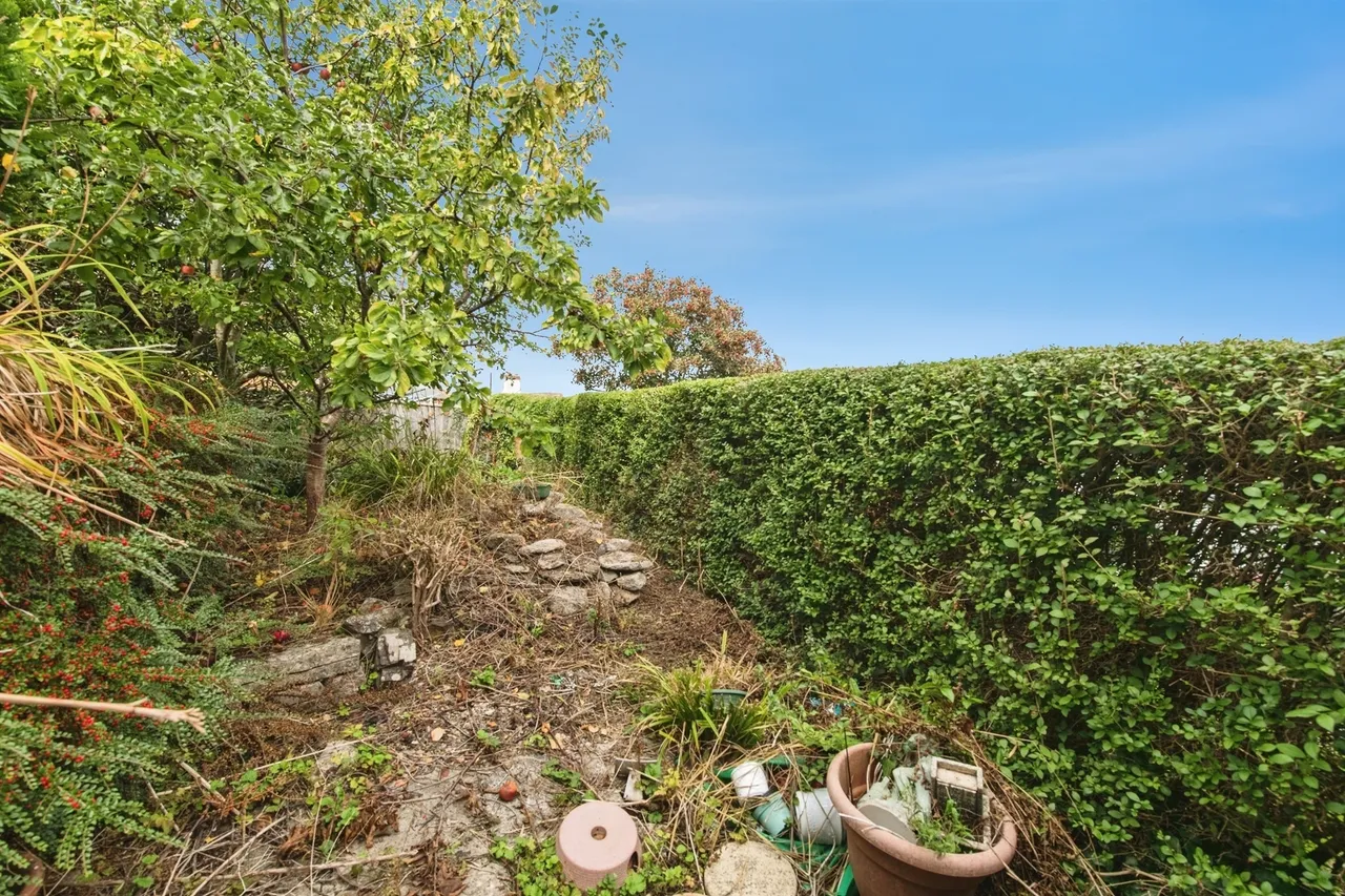 Carlton Road, Exeter, EX2, photo 12