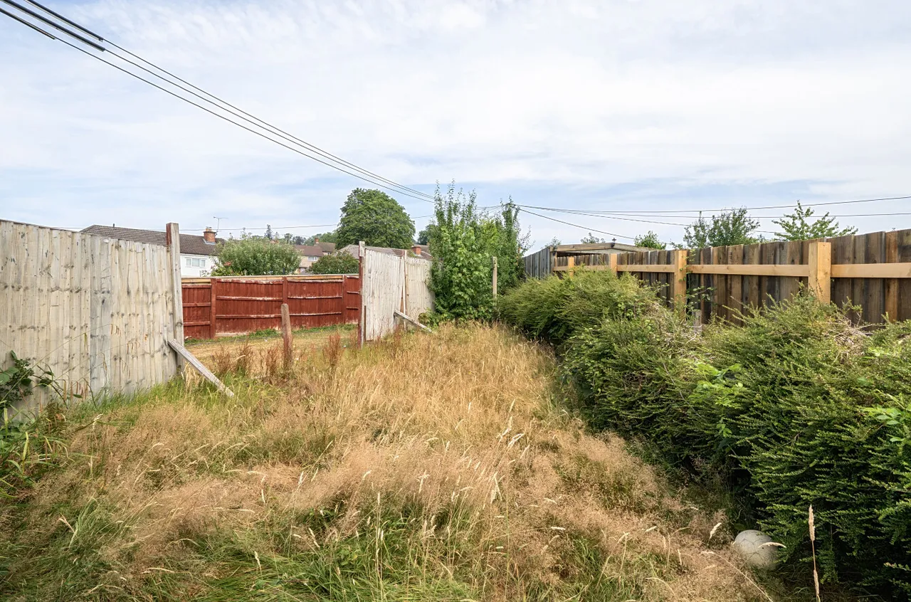 Borfa Green, Welshpool, photo 24