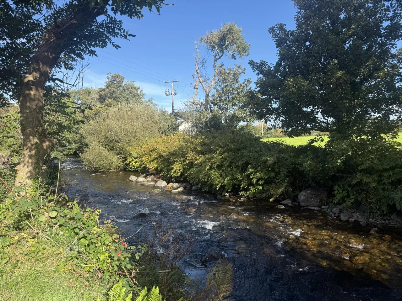 Caernarfon, LL54, photo 16