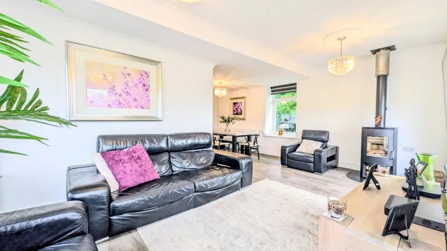 Park Lane, Treharris, CF46, photo 13
