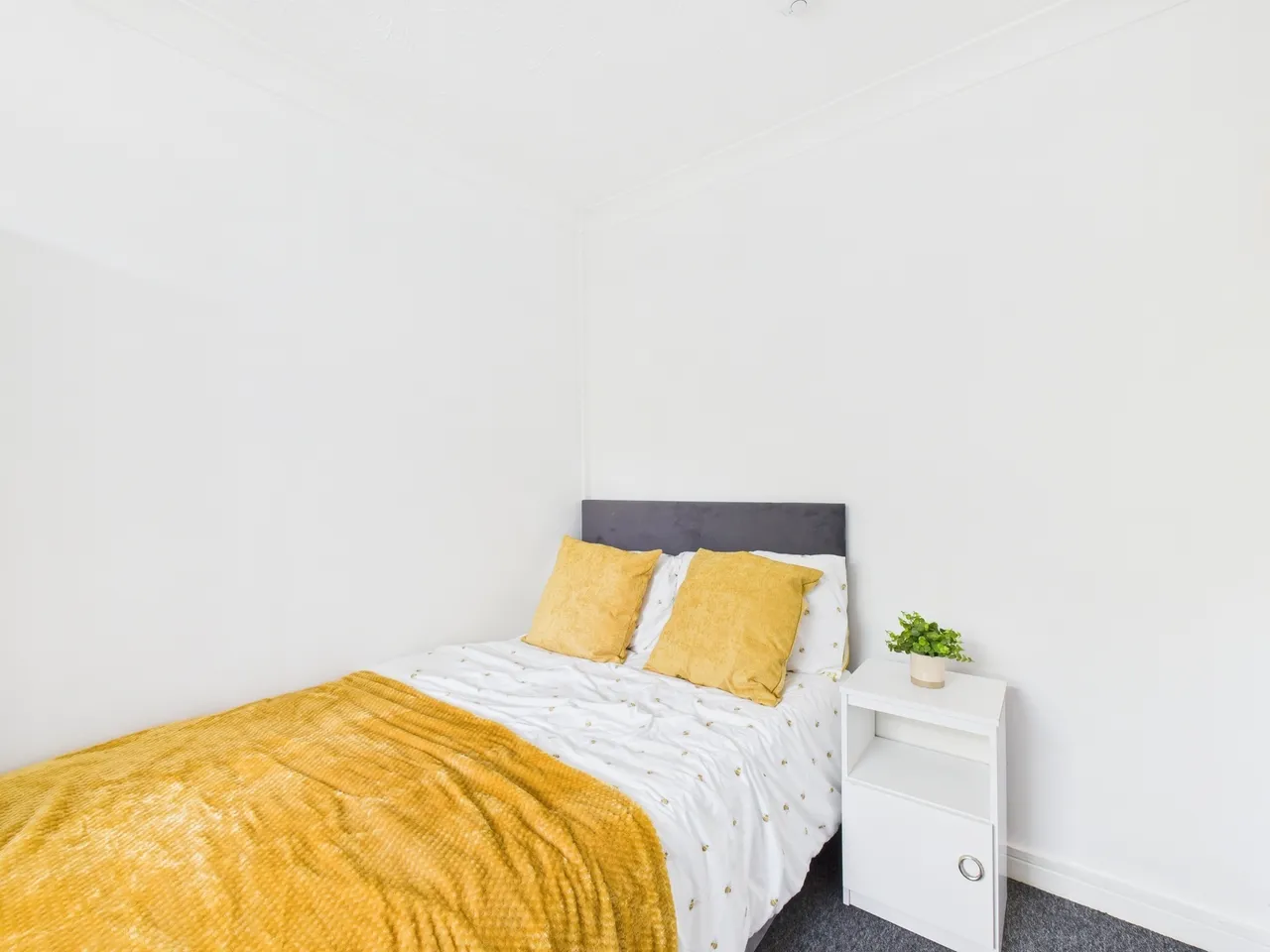 Wakefield Road, Norwich, NR5, photo 9