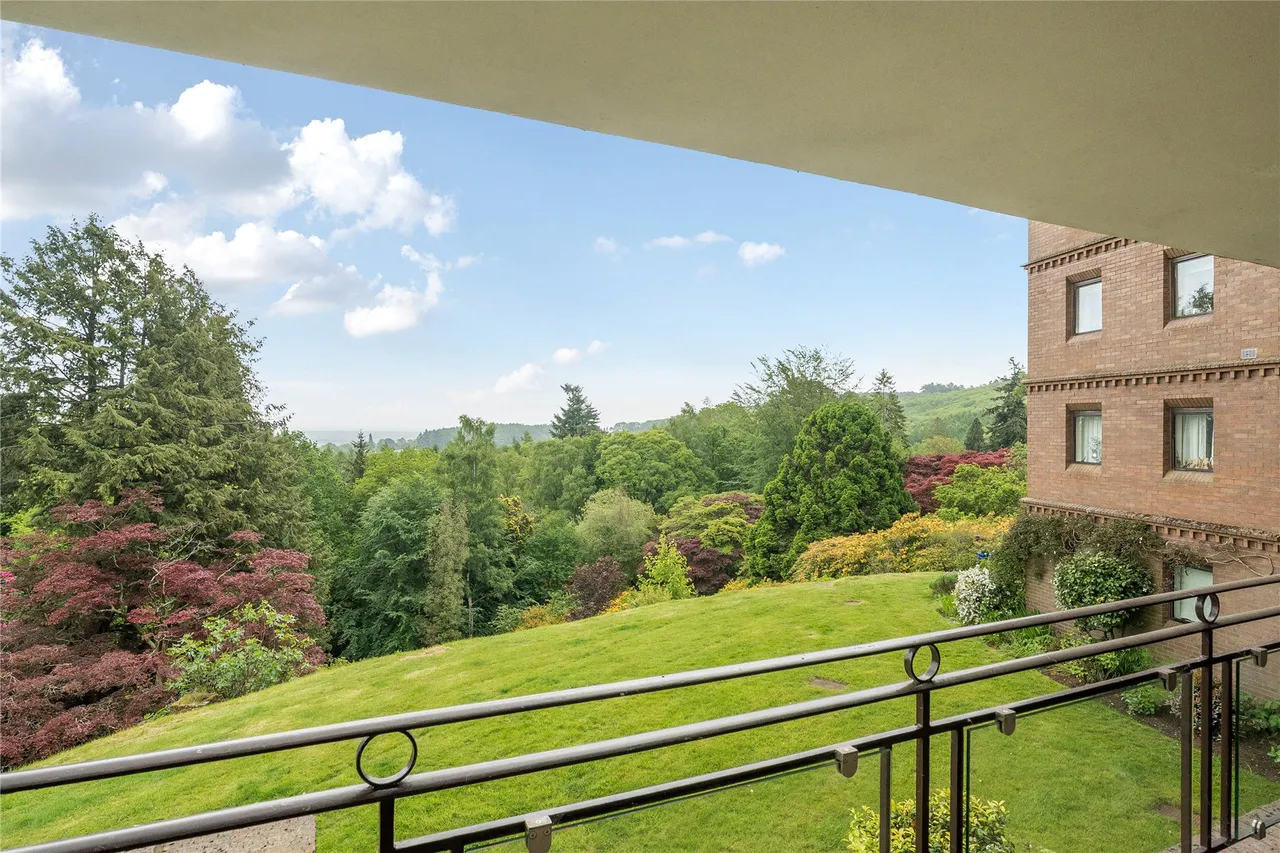 Cedar Lodge, Lythe Hill Park, GU27, photo 12