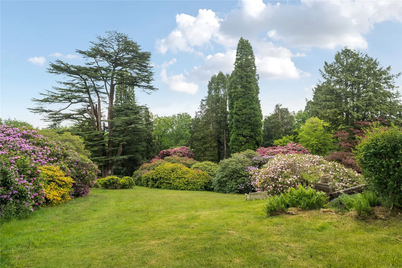 Cedar Lodge, Lythe Hill Park, GU27, photo 14