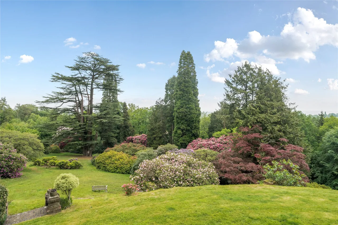 Cedar Lodge, Lythe Hill Park, GU27, photo 15