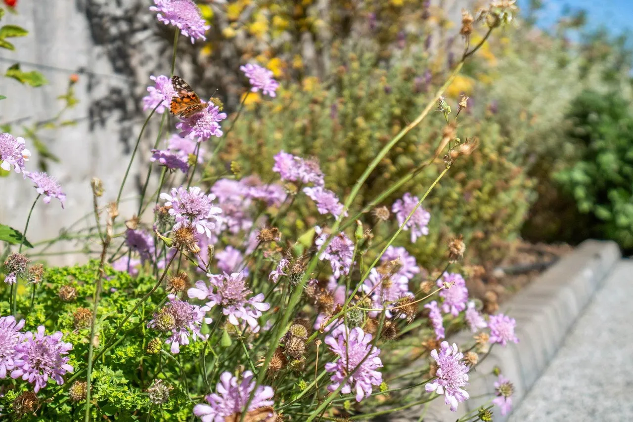 Beautiful Church Hall conversion into a stunning 3 bedroom home, photo 43
