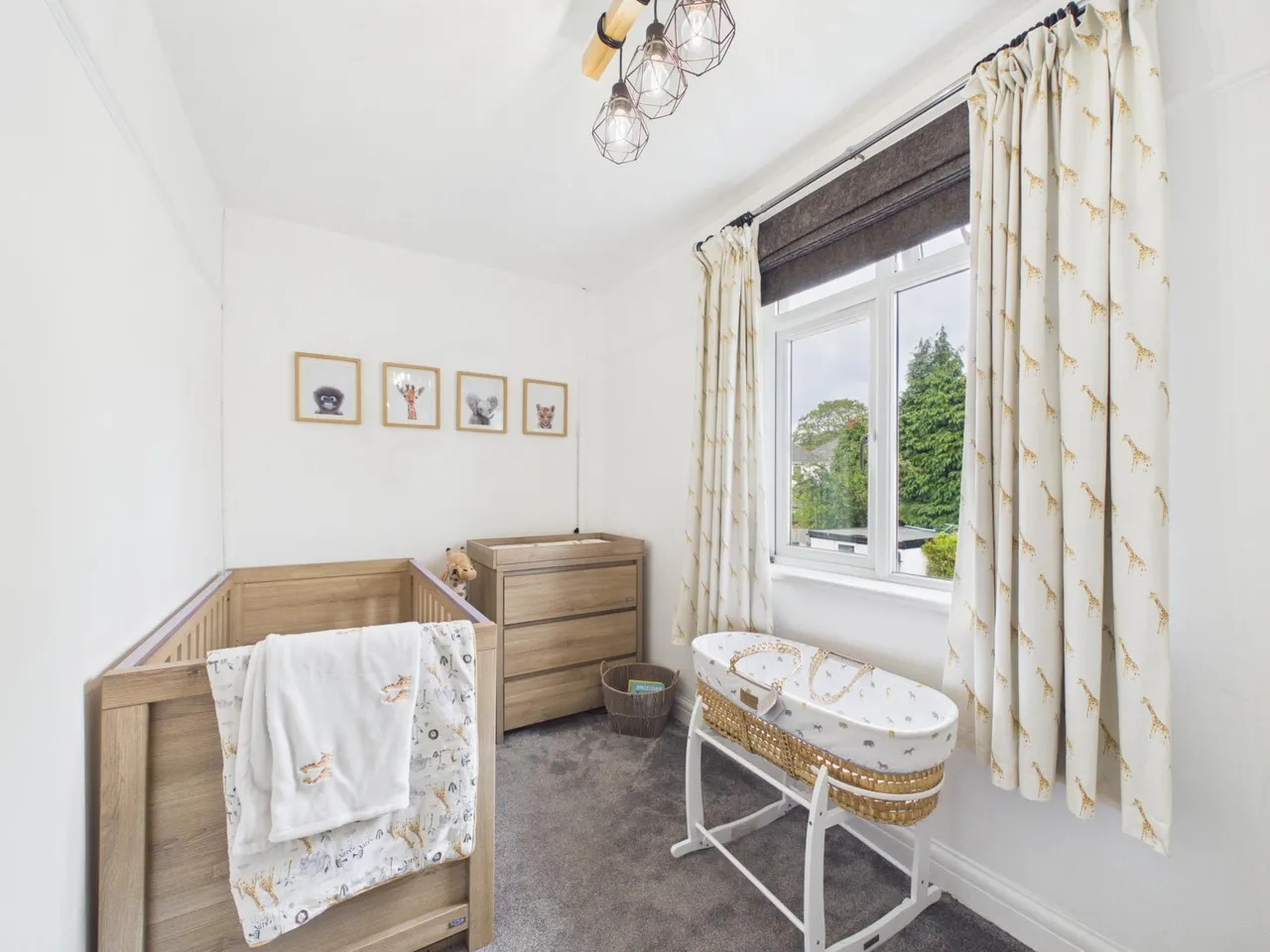 Homelands Road, Rhiwbina, CF14, photo 14